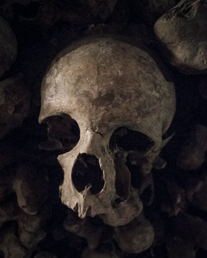 photo 1613469426354 14f4f05a7add Frontal Sinus Morphological and Dimensional Variation Simplyforensic